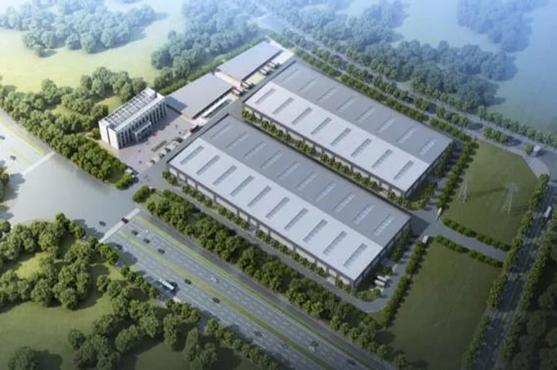 安徽雄獅 安徽雄獅